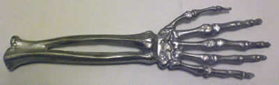 Skeleton Hand